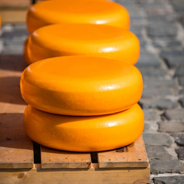 Is Gouda goat cheese?